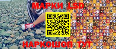 гашик Новокубанск