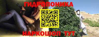 гашик Новокубанск