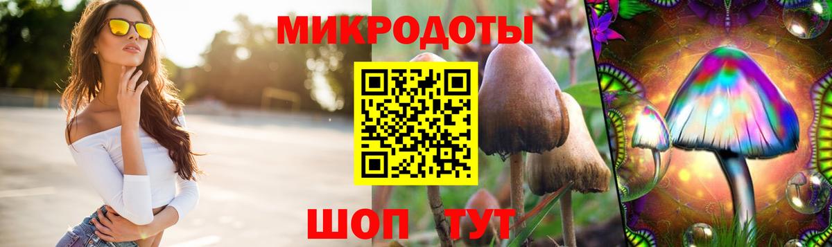 Псилоцибиновые грибы прущие грибы Сибай